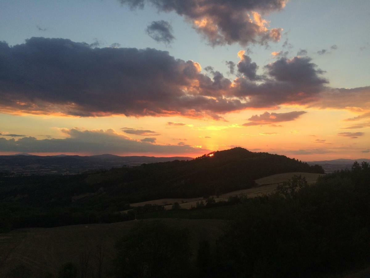 Ferienwohnung Umbria, "Casa Sagrantina" Con Piscina E Pergolato Collazzone Exterior foto